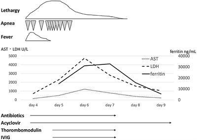 Echovirus Type 7 Virus-Associated Hemophagocytic Syndrome in a Neonate Successfully Treated With Intravenous Immunoglobulin Therapy: A Case Report